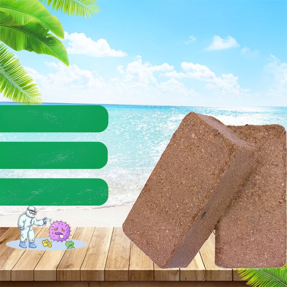 Substrate Coconut Fiber - Substrato di terra in mattoni di